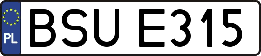 BSUE315