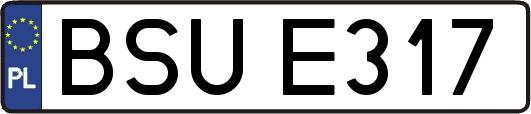 BSUE317