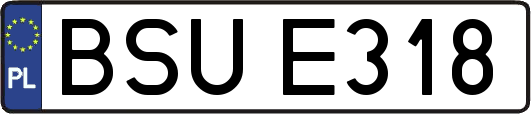 BSUE318