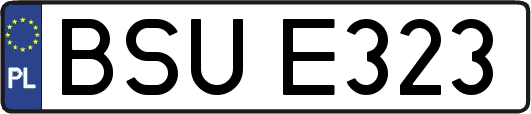 BSUE323