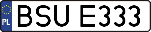 BSUE333