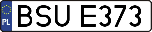 BSUE373