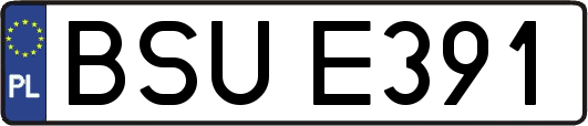 BSUE391