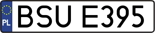 BSUE395