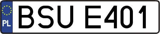 BSUE401