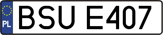 BSUE407