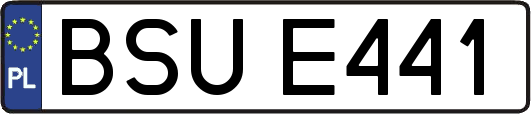BSUE441