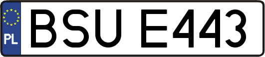 BSUE443
