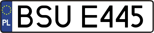 BSUE445