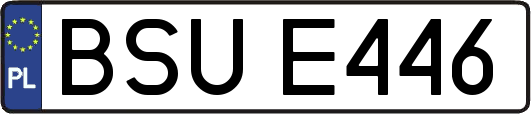 BSUE446