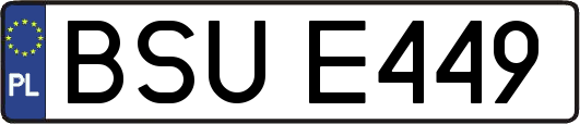 BSUE449