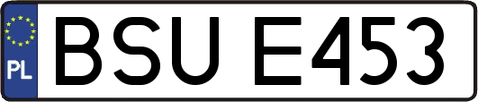 BSUE453