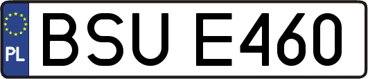 BSUE460