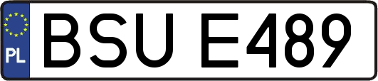 BSUE489