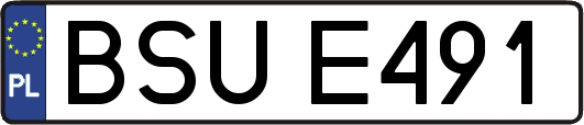 BSUE491