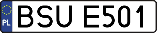 BSUE501