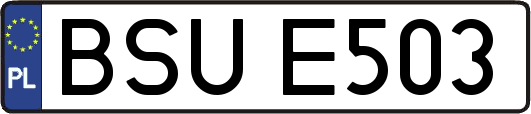 BSUE503