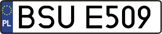 BSUE509