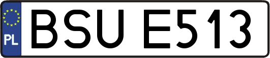 BSUE513