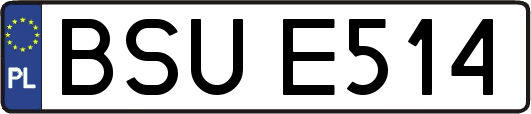 BSUE514