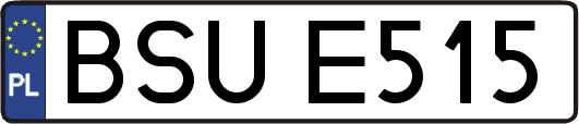 BSUE515