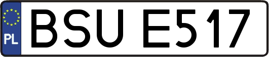 BSUE517