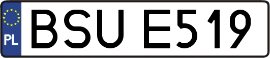 BSUE519
