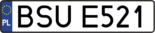 BSUE521