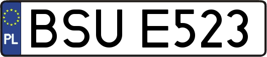 BSUE523