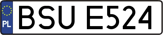 BSUE524