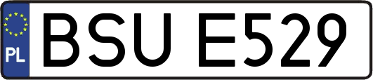 BSUE529