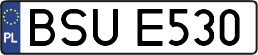 BSUE530
