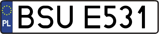 BSUE531