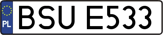 BSUE533