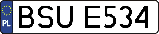 BSUE534