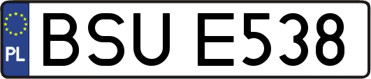 BSUE538