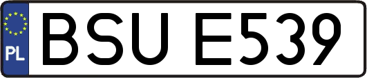 BSUE539