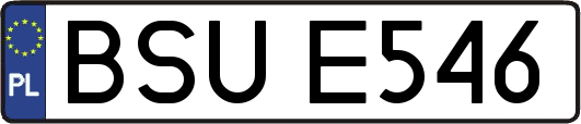 BSUE546