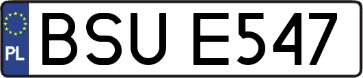 BSUE547