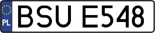 BSUE548