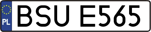 BSUE565
