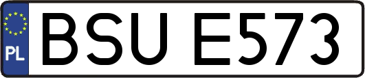 BSUE573