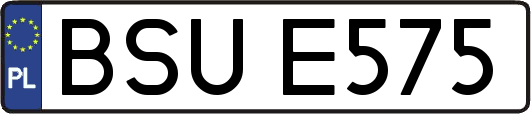 BSUE575