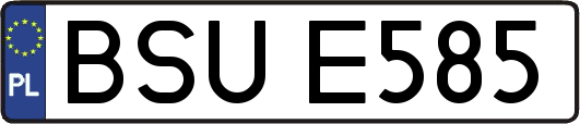 BSUE585