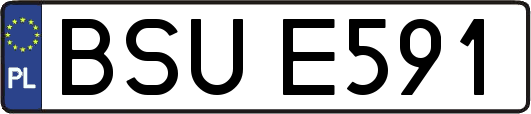 BSUE591