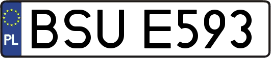 BSUE593