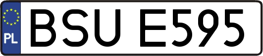 BSUE595