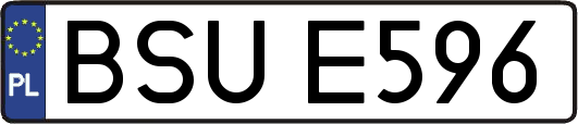 BSUE596