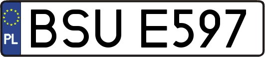 BSUE597