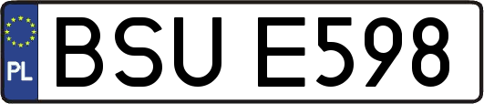 BSUE598